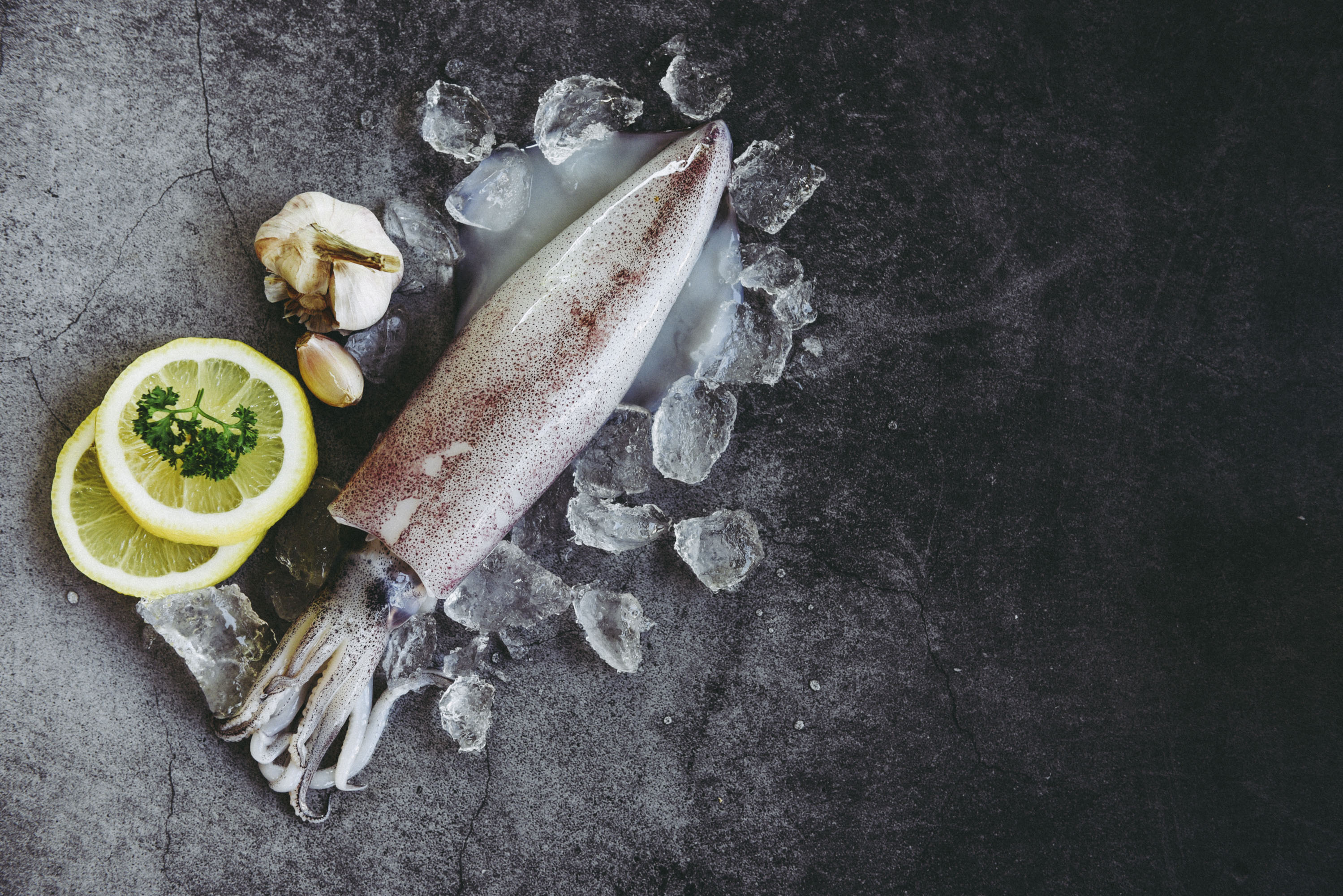 Squid, Cuttlefish & Octopus