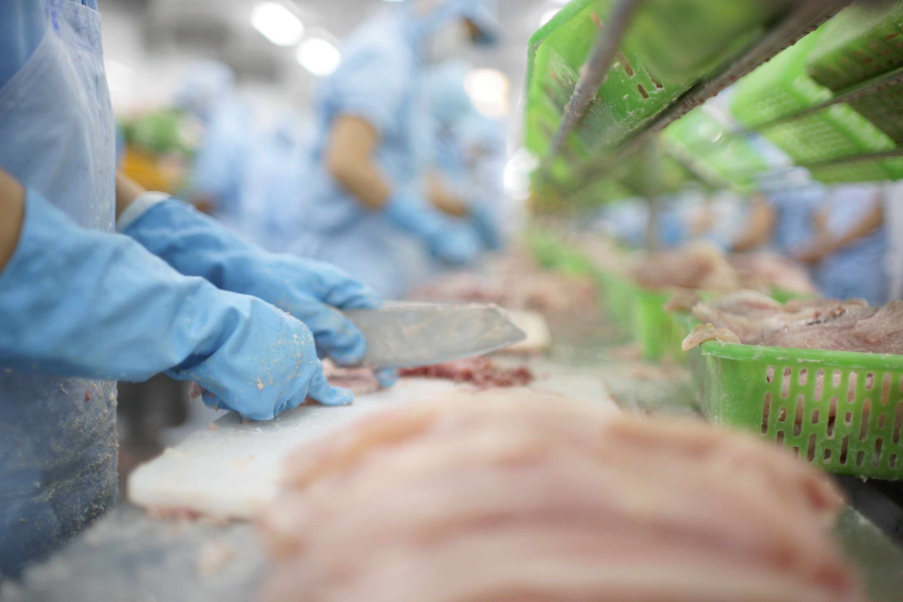 Thủy Hải Sản Xuất Khẩu